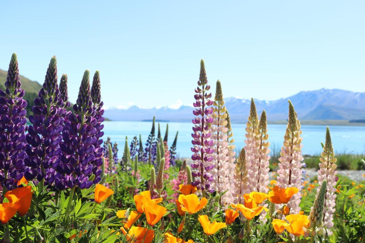 Villa Mt Sefton Lake Tekapo Esterno foto